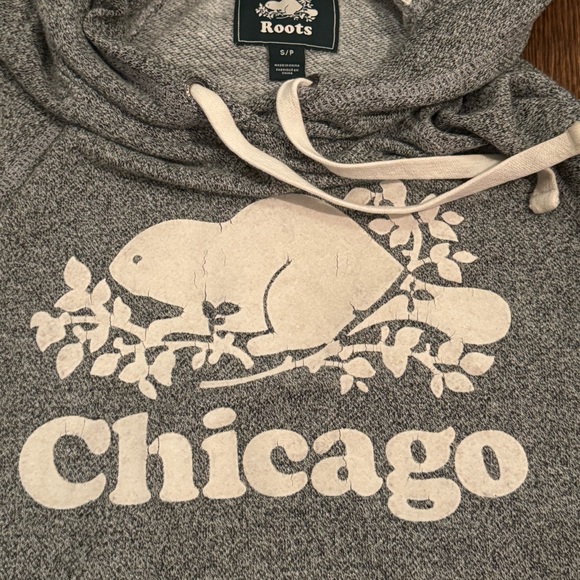 Roots Chicago - Picture 2 of 9